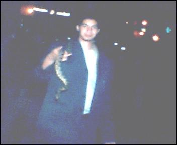 foto par portabel 2003