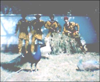 cin�ma foto par portabel